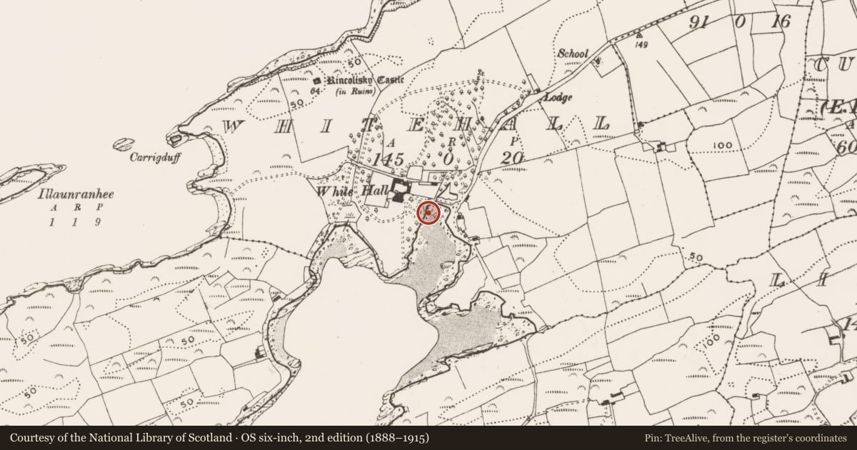 Ordnance Survey six-inch map, 2nd edition (1888–1915) covering the location of Kiln - lime, Whitehall, County Cork, with a pin at the register's coordinates