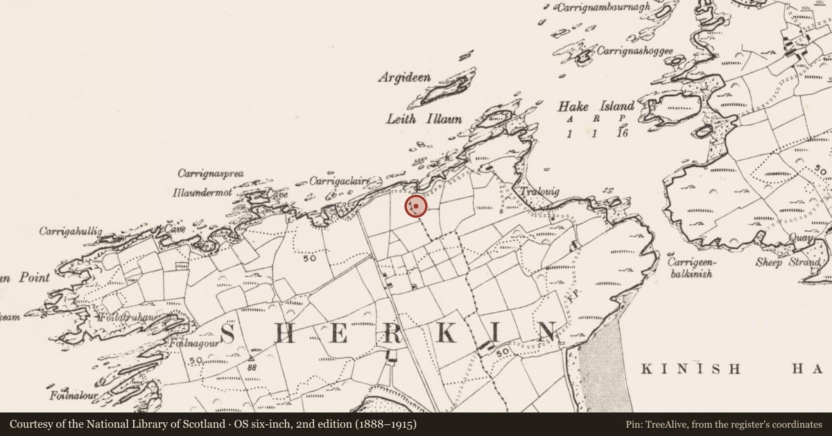 Ordnance Survey six-inch map, 2nd edition (1888–1915) covering the location of Earthwork, Cloddagh (Sherkin Island), County Cork, with a pin at the register's coordinates