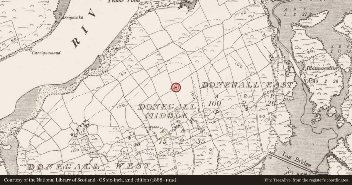 Ordnance Survey six-inch map, 2nd edition (1888–1915) covering the location of Ringfort - rath, Donegall Middle, County Cork, with a pin at the register's coordinates