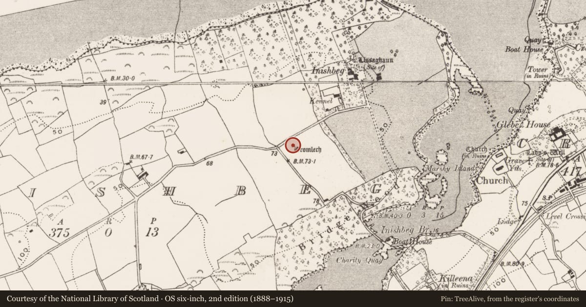 Ordnance Survey six-inch map, 2nd edition (1888–1915) covering the location of Boulder-burial, Inishbeg, County Cork, with a pin at the register's coordinates