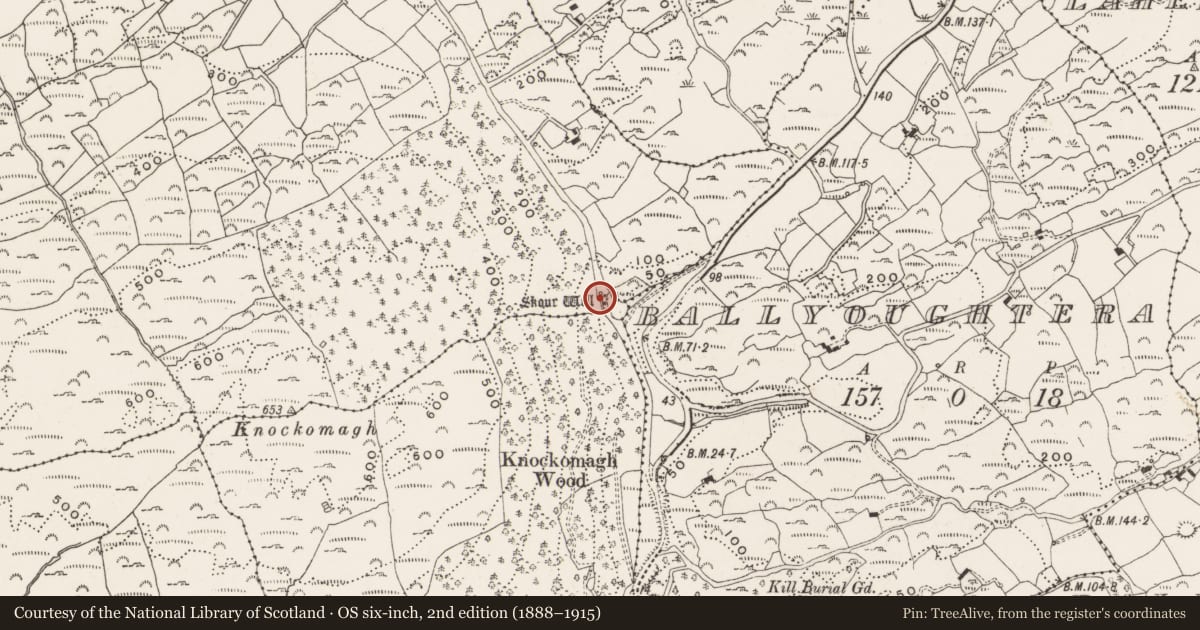 Ordnance Survey six-inch map, 2nd edition (1888–1915) covering the location of Ritual site - holy well, Highfield, County Cork, with a pin at the register's coordinates