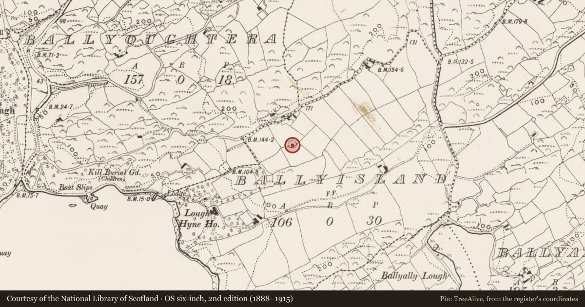 Ordnance Survey six-inch map, 2nd edition (1888–1915) covering the location of Ringfort - rath, Ballyisland, County Cork, with a pin at the register's coordinates