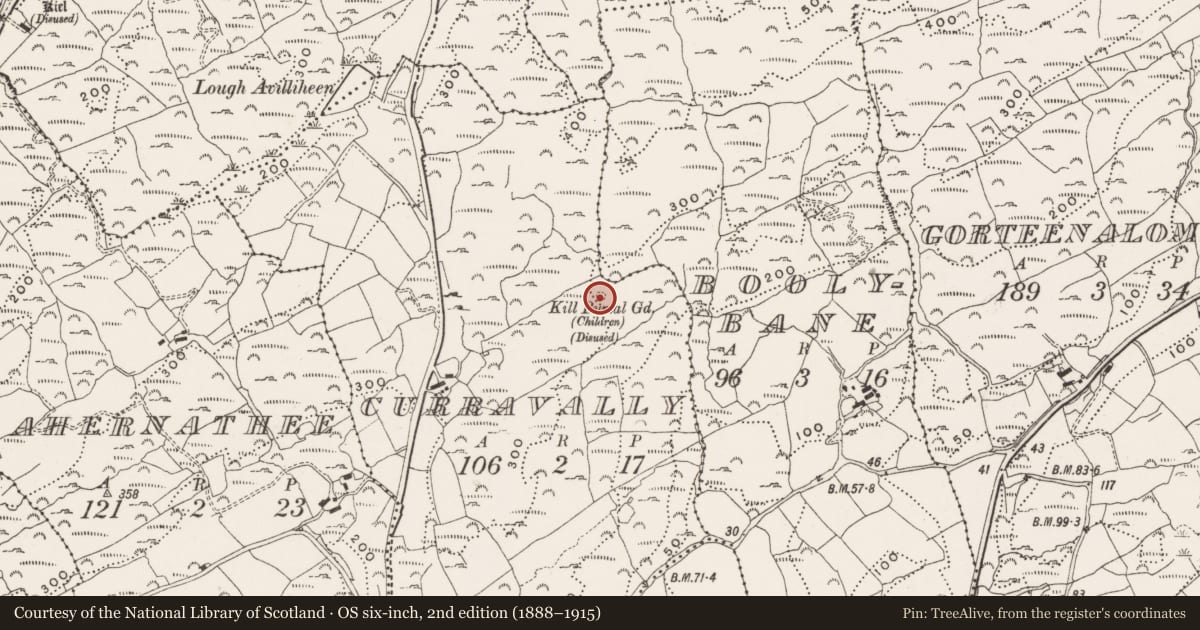 Ordnance Survey six-inch map, 2nd edition (1888–1915) covering the location of Burial ground, Curravally, County Cork, with a pin at the register's coordinates
