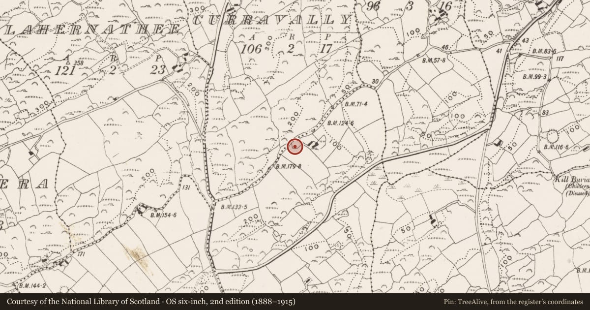 Ordnance Survey six-inch map, 2nd edition (1888–1915) covering the location of Ringfort - rath, Ballyally, County Cork, with a pin at the register's coordinates