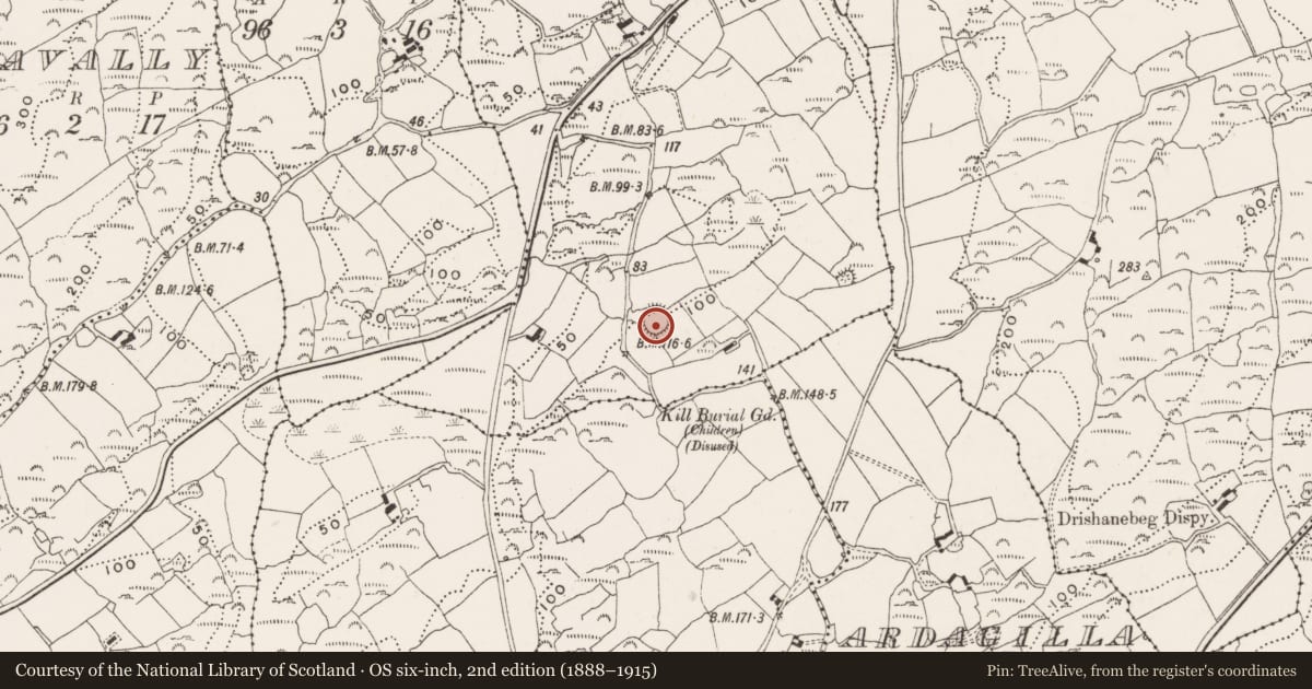 Ordnance Survey six-inch map, 2nd edition (1888–1915) covering the location of Ringfort - rath, Gorteenalomane, County Cork, with a pin at the register's coordinates
