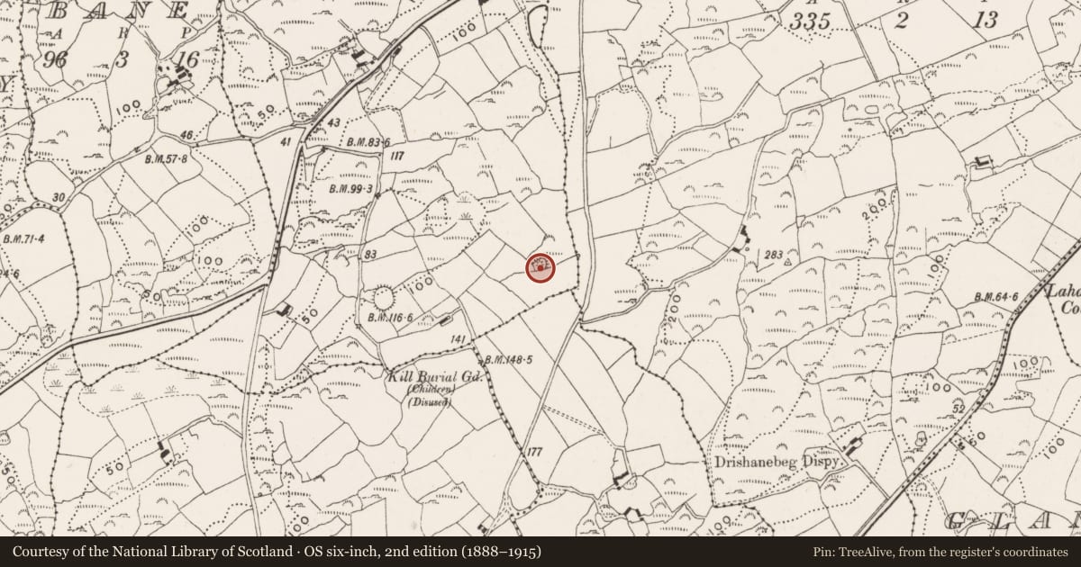 Ordnance Survey six-inch map, 2nd edition (1888–1915) covering the location of Mound, Gorteenalomane, County Cork, with a pin at the register's coordinates