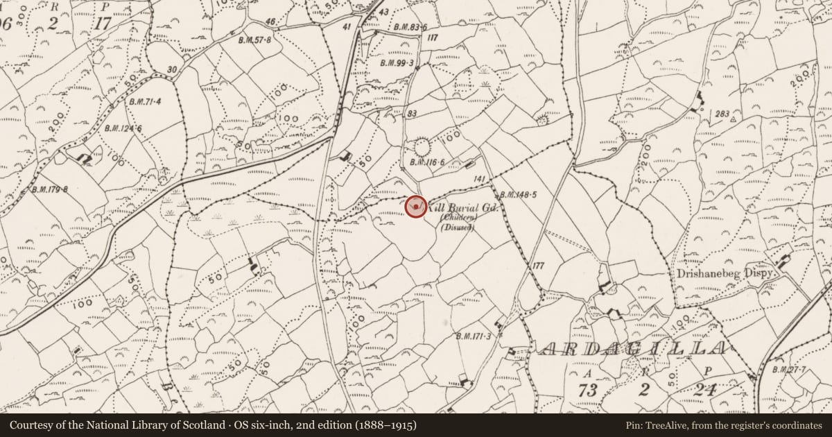 Ordnance Survey six-inch map, 2nd edition (1888–1915) covering the location of Radial-stone enclosure, Drishane More, County Cork, with a pin at the register's coordinates