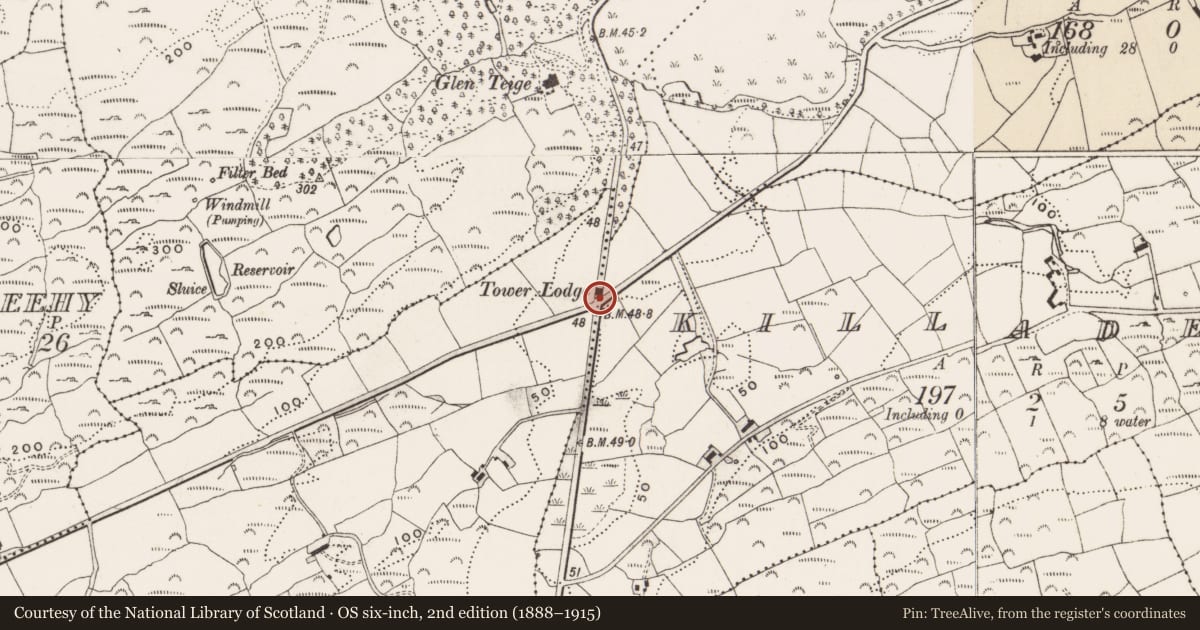 Ordnance Survey six-inch map, 2nd edition (1888–1915) covering the location of Gate lodge, Killaderry, County Cork, with a pin at the register's coordinates