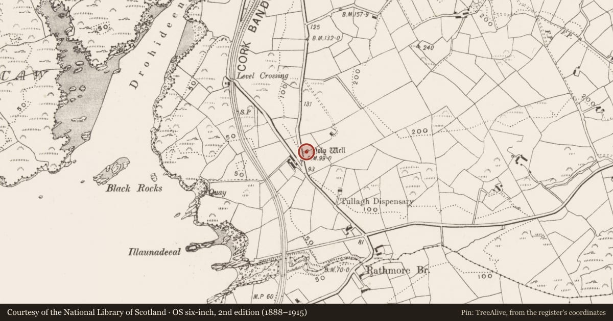Ordnance Survey six-inch map, 2nd edition (1888–1915) covering the location of Ritual site - holy well, Rathmore, County Cork, with a pin at the register's coordinates