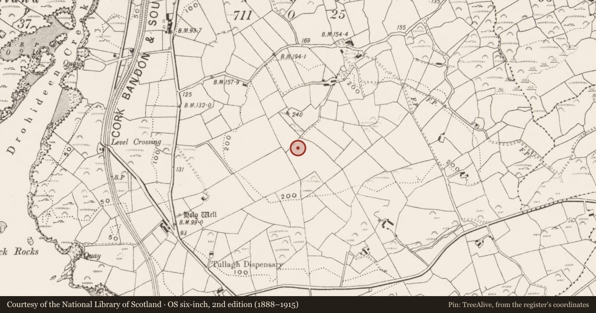 Ordnance Survey six-inch map, 2nd edition (1888–1915) covering the location of Burial ground, Rathmore, County Cork, with a pin at the register's coordinates