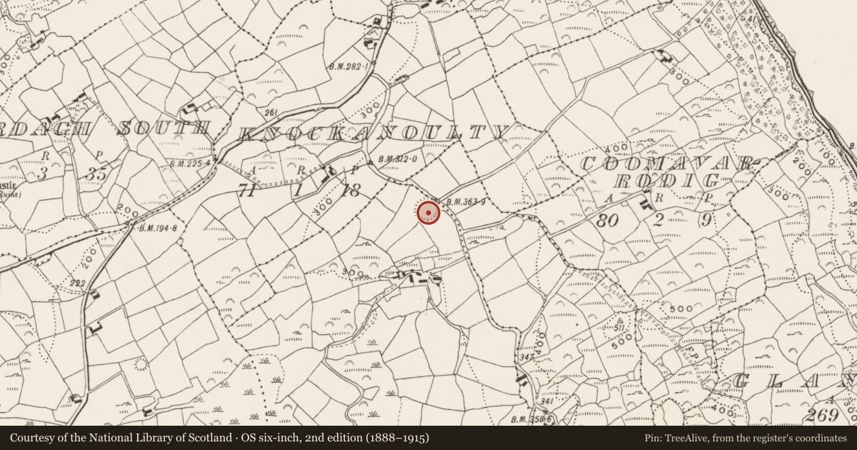 Ordnance Survey six-inch map, 2nd edition (1888–1915) covering the location of Ringfort - rath, Ballinard, County Cork, with a pin at the register's coordinates