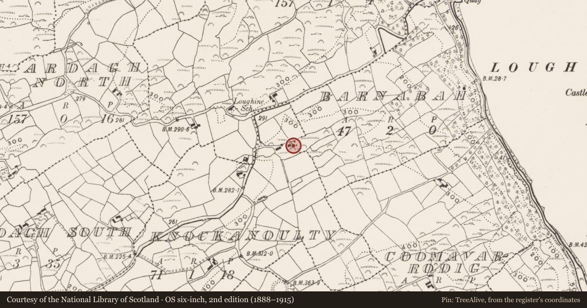 Ordnance Survey six-inch map, 2nd edition (1888–1915) covering the location of Cupmarked stone, Barnabah, Knockanoulty, County Cork, with a pin at the register's coordinates
