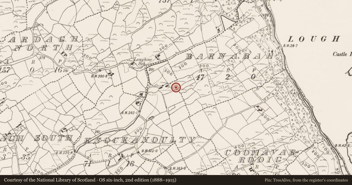 Ordnance Survey six-inch map, 2nd edition (1888–1915) covering the location of Standing stone, Barnabah, Knockanoulty, County Cork, with a pin at the register's coordinates