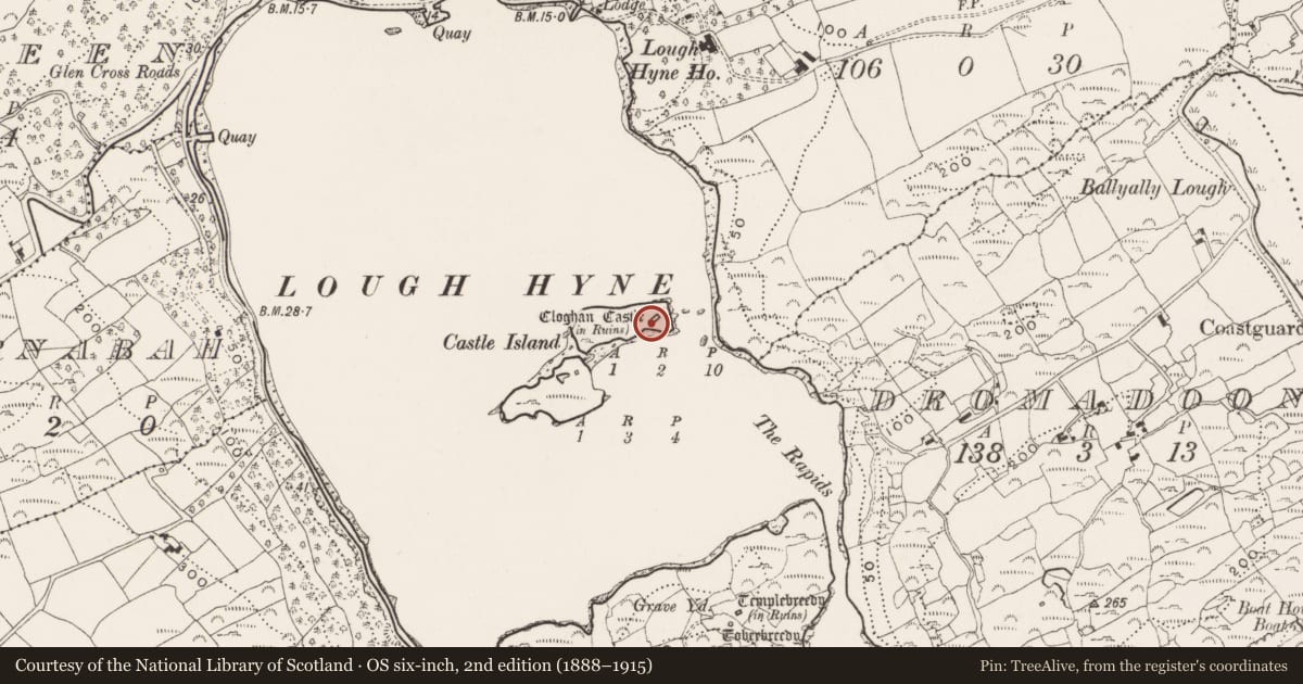 Ordnance Survey six-inch map, 2nd edition (1888–1915) covering the location of Castle - tower house, Castle Island, County Cork, with a pin at the register's coordinates