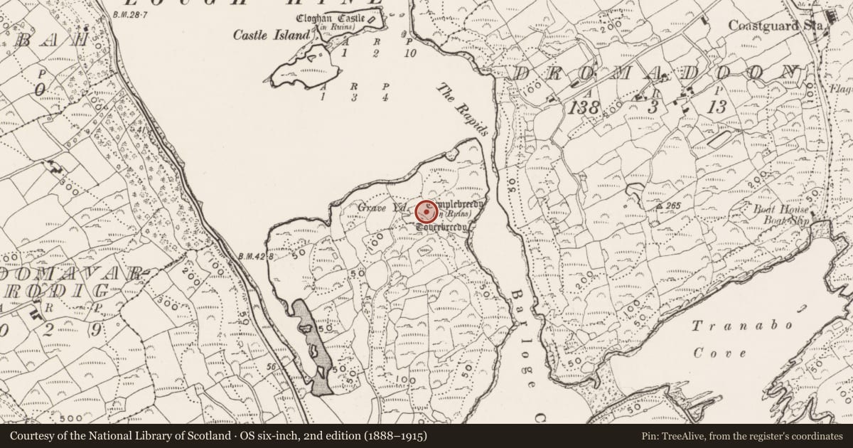 Ordnance Survey six-inch map, 2nd edition (1888–1915) covering the location of Burial ground, Glannafeen, County Cork, with a pin at the register's coordinates