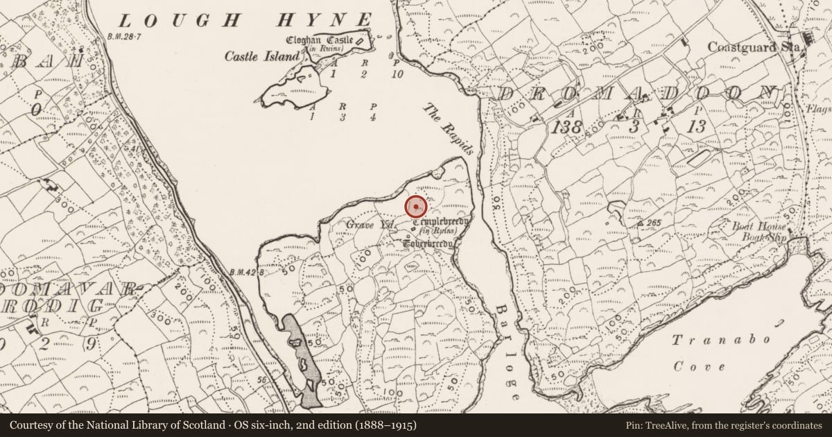 Ordnance Survey six-inch map, 2nd edition (1888–1915) covering the location of Cross-slab, Glannafeen, County Cork, with a pin at the register's coordinates