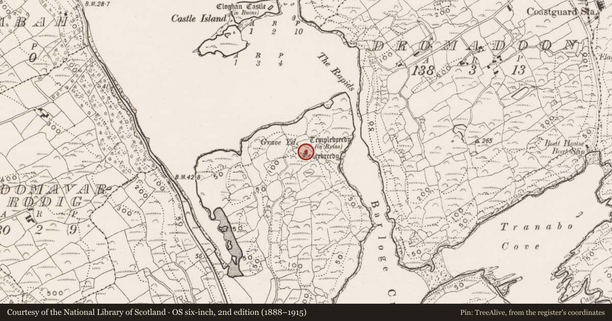 Ordnance Survey six-inch map, 2nd edition (1888–1915) covering the location of Ritual site - holy well, Glannafeen, County Cork, with a pin at the register's coordinates