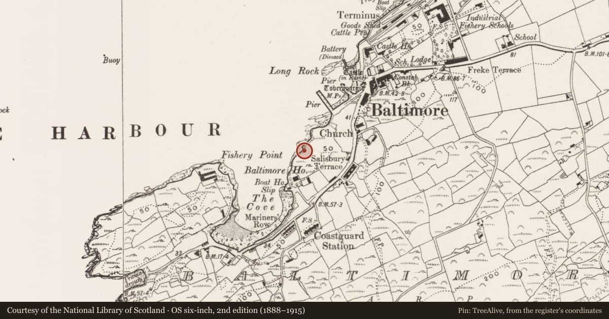 Ordnance Survey six-inch map, 2nd edition (1888–1915) covering the location of Kiln - lime, Baltimore, County Cork, with a pin at the register's coordinates