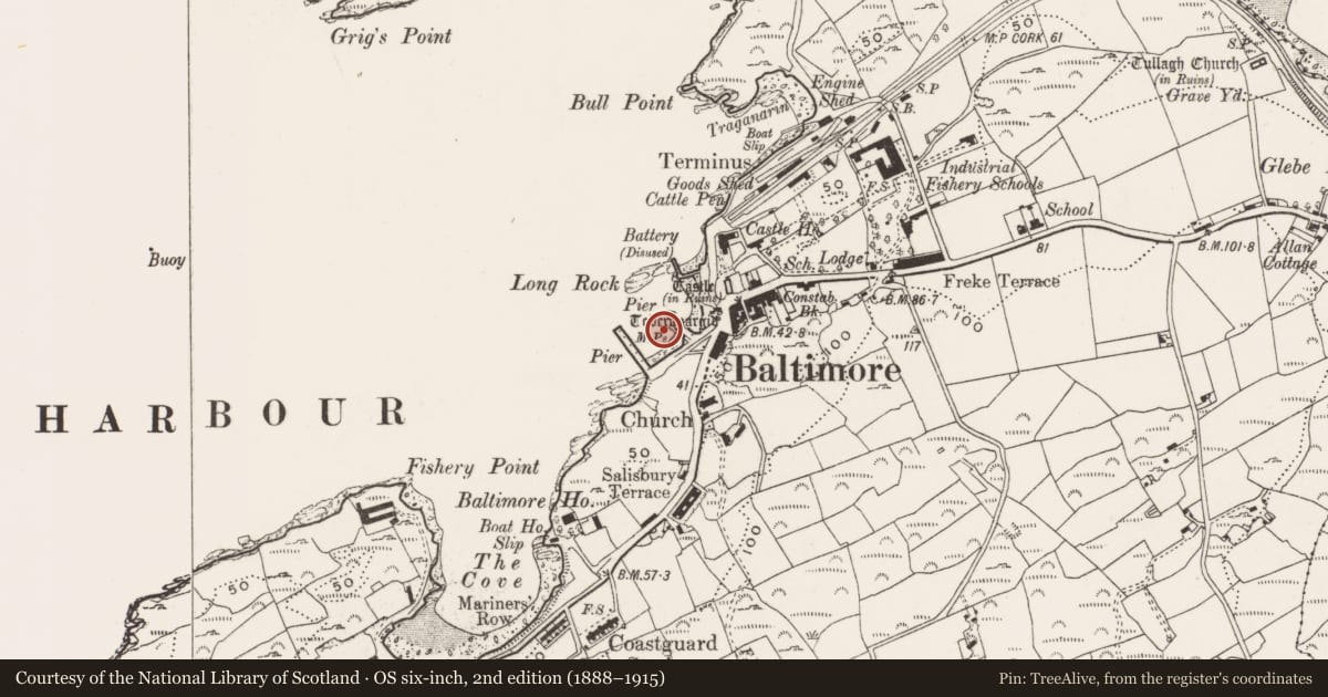 Ordnance Survey six-inch map, 2nd edition (1888–1915) covering the location of Ritual site - holy well, Baltimore, County Cork, with a pin at the register's coordinates