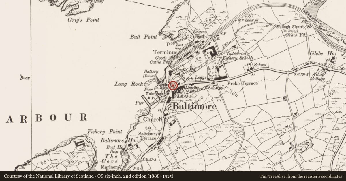 Ordnance Survey six-inch map, 2nd edition (1888–1915) covering the location of Bawn, Baltimore, County Cork, with a pin at the register's coordinates