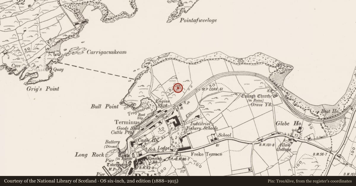 Ordnance Survey six-inch map, 2nd edition (1888–1915) covering the location of Ringfort - rath, Baltimore, County Cork, with a pin at the register's coordinates