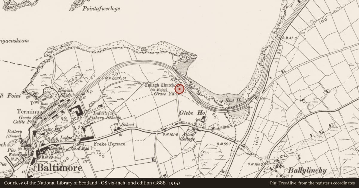Ordnance Survey six-inch map, 2nd edition (1888–1915) covering the location of Graveyard, Baltimore, County Cork, with a pin at the register's coordinates