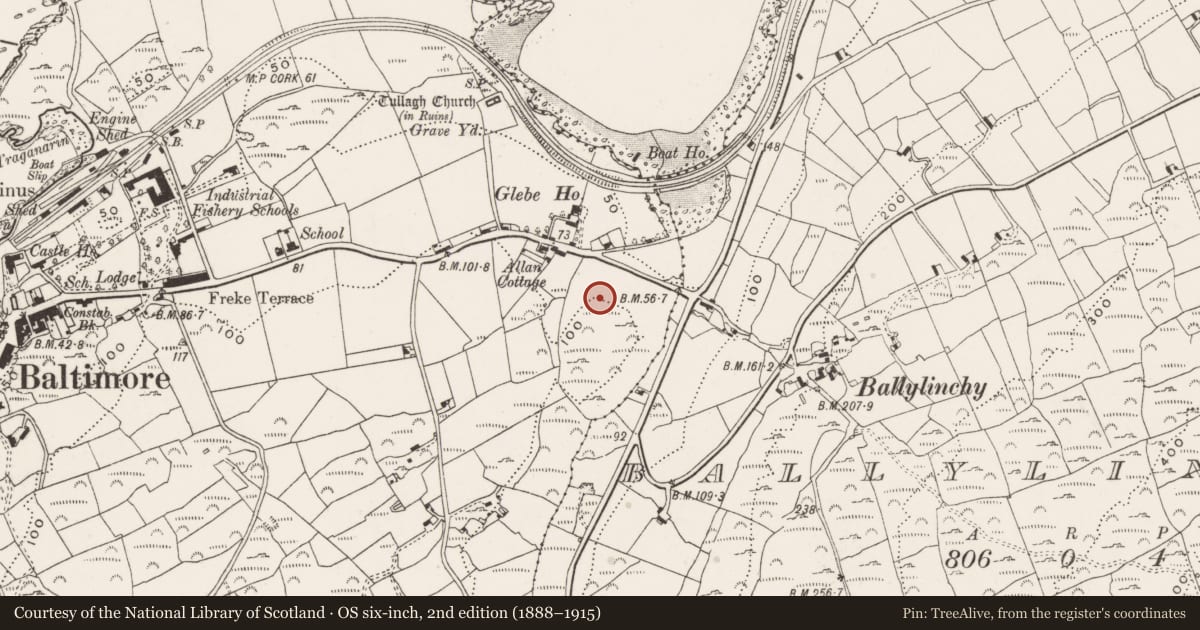 Ordnance Survey six-inch map, 2nd edition (1888–1915) covering the location of Souterrain, Baltimore, County Cork, with a pin at the register's coordinates