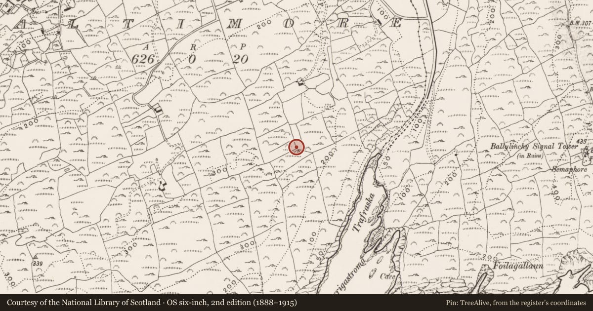 Ordnance Survey six-inch map, 2nd edition (1888–1915) covering the location of Fulacht fia, Baltimore, County Cork, with a pin at the register's coordinates