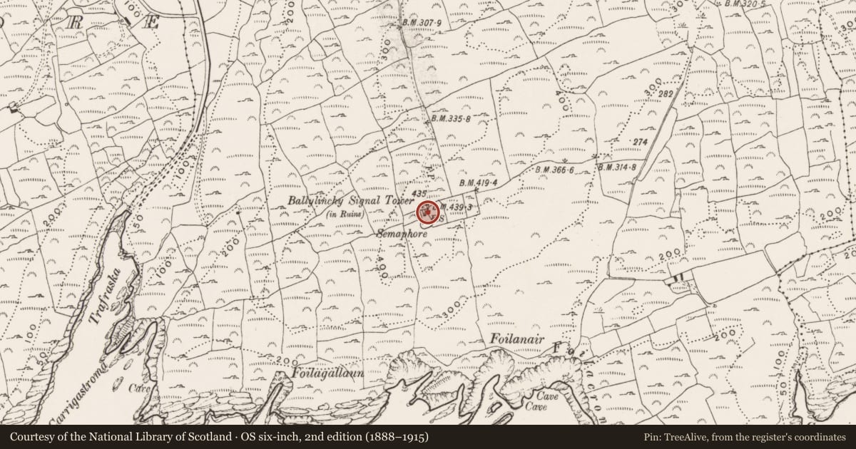 Ordnance Survey six-inch map, 2nd edition (1888–1915) covering the location of Signal tower, Ballylinchy, County Cork, with a pin at the register's coordinates