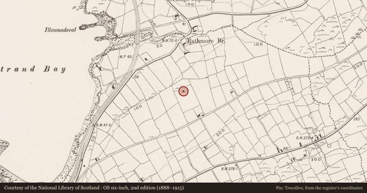 Ordnance Survey six-inch map, 2nd edition (1888–1915) covering the location of Ringfort - rath, Ballylinchy, County Cork, with a pin at the register's coordinates