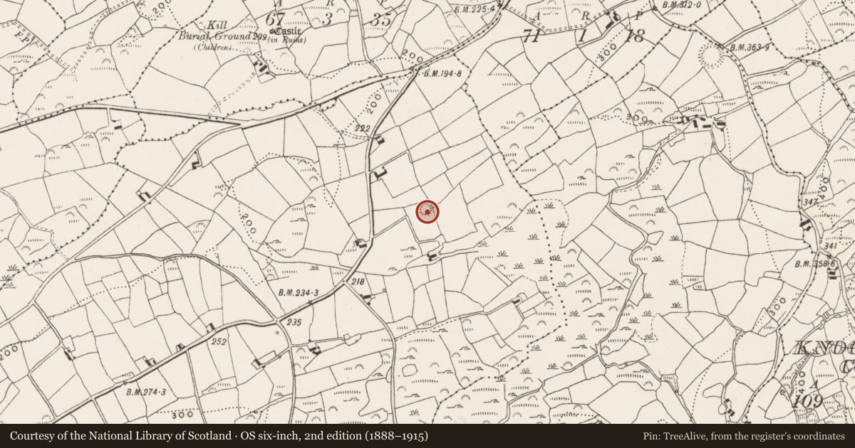 Ordnance Survey six-inch map, 2nd edition (1888–1915) covering the location of Ringfort - rath, Ballymacrown, County Cork, with a pin at the register's coordinates