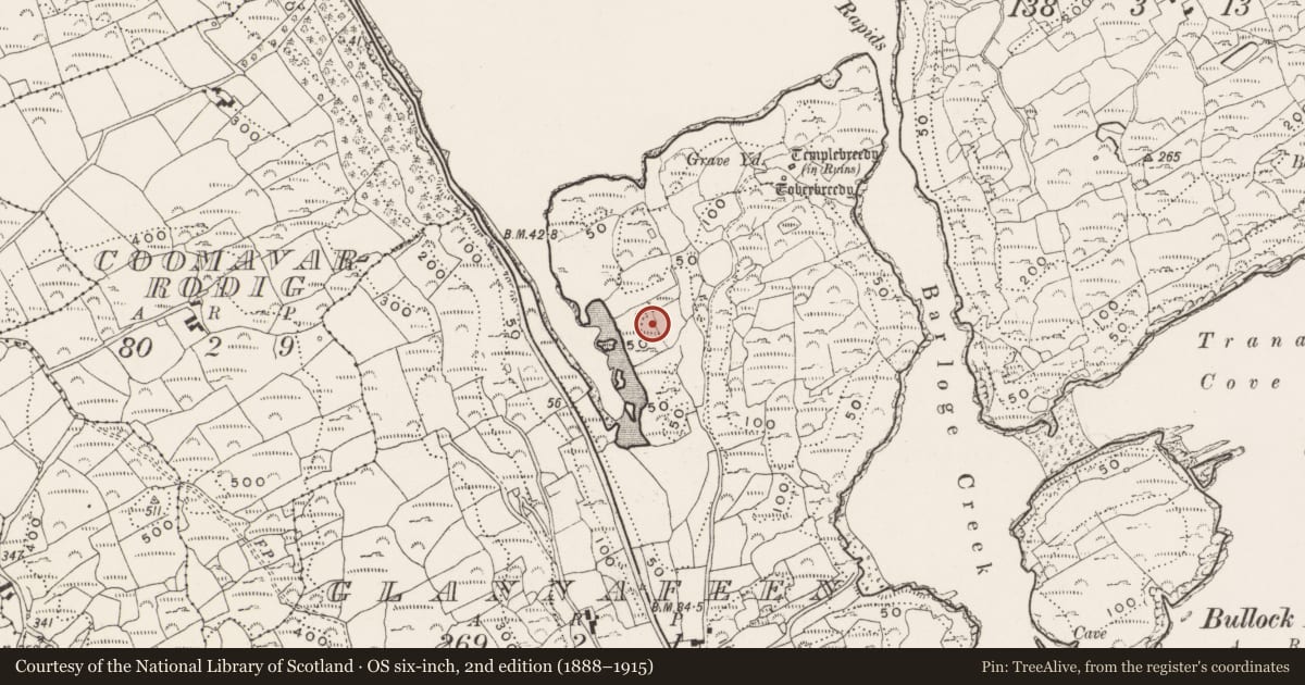 Ordnance Survey six-inch map, 2nd edition (1888–1915) covering the location of Hut site, Glannafeen, County Cork, with a pin at the register's coordinates