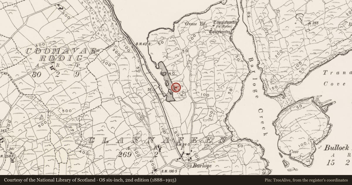 Ordnance Survey six-inch map, 2nd edition (1888–1915) covering the location of Hut site, Glannafeen, County Cork, with a pin at the register's coordinates