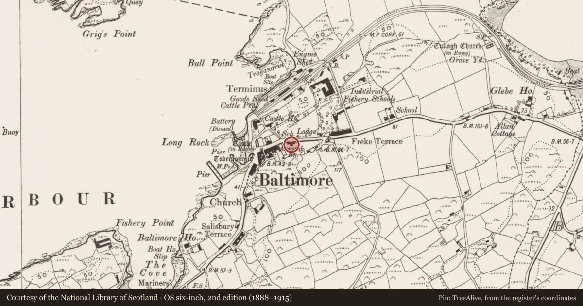 Ordnance Survey six-inch map, 2nd edition (1888–1915) covering the location of School, Baltimore, County Cork, with a pin at the register's coordinates