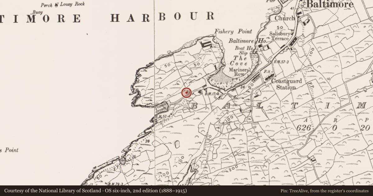 Ordnance Survey six-inch map, 2nd edition (1888–1915) covering the location of Fish palace, Baltimore, County Cork, with a pin at the register's coordinates