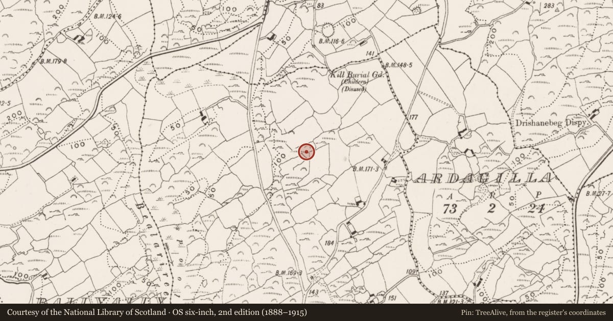 Ordnance Survey six-inch map, 2nd edition (1888–1915) covering the location of Burial ground, Drishane More, County Cork, with a pin at the register's coordinates