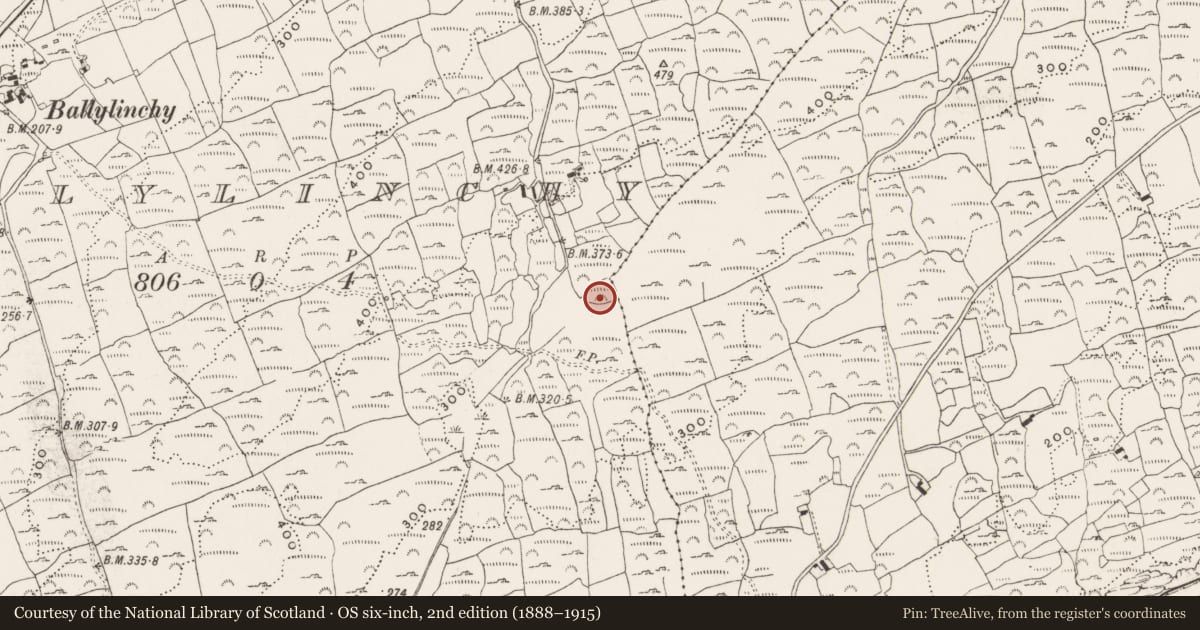 Ordnance Survey six-inch map, 2nd edition (1888–1915) covering the location of Enclosure, Ballylinchy, County Cork, with a pin at the register's coordinates