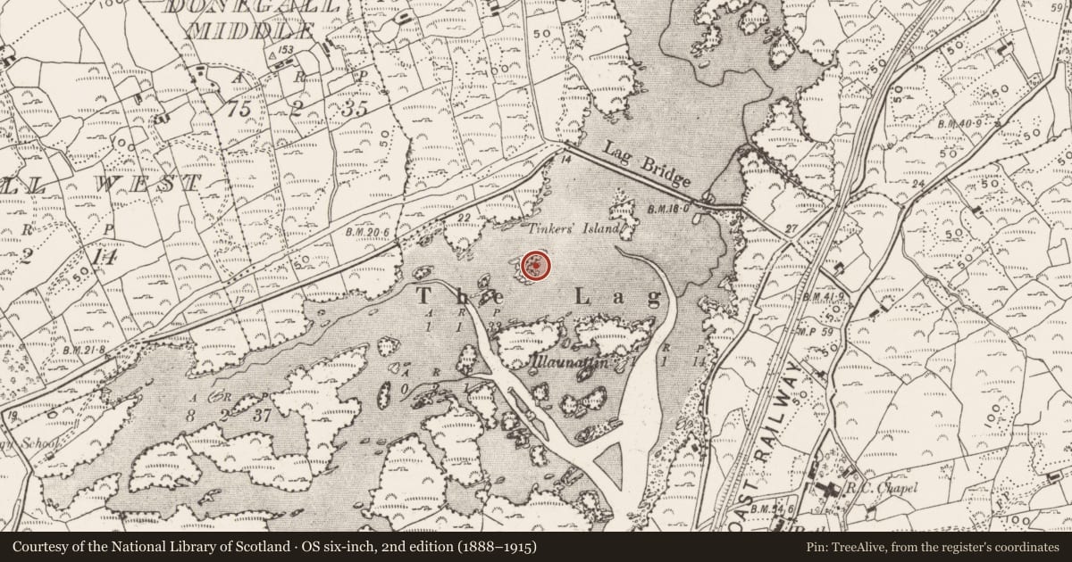 Ordnance Survey six-inch map, 2nd edition (1888–1915) covering the location of Megalithic tomb - passage tomb, The Lag (Ringarogy Island), County Cork, with a pin at the register's coordinates