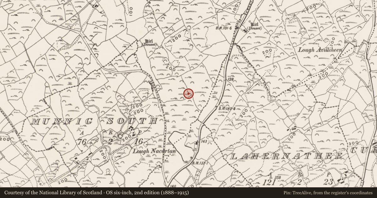 Ordnance Survey six-inch map, 2nd edition (1888–1915) covering the location of Hut site, Munnig North, County Cork, with a pin at the register's coordinates
