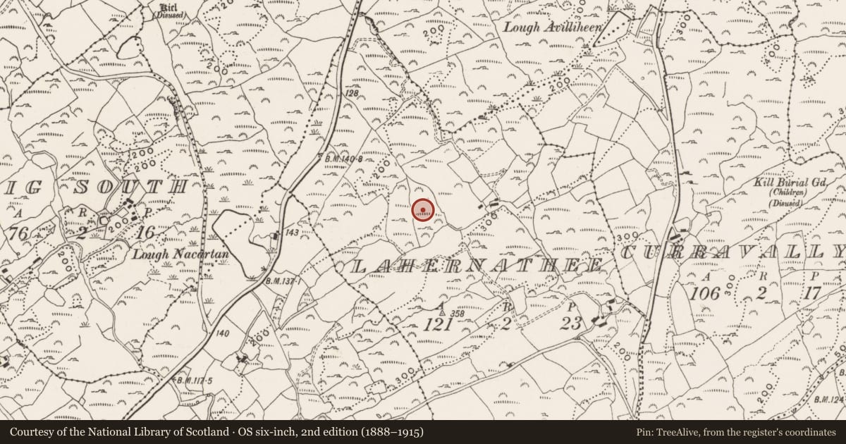 Ordnance Survey six-inch map, 2nd edition (1888–1915) covering the location of Standing stone, Lahernathee, County Cork, with a pin at the register's coordinates