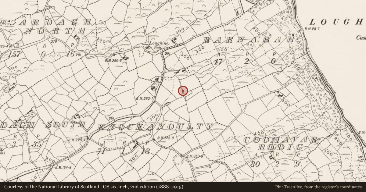 Ordnance Survey six-inch map, 2nd edition (1888–1915) covering the location of Cupmarked stone, Knockanoulty, County Cork, with a pin at the register's coordinates