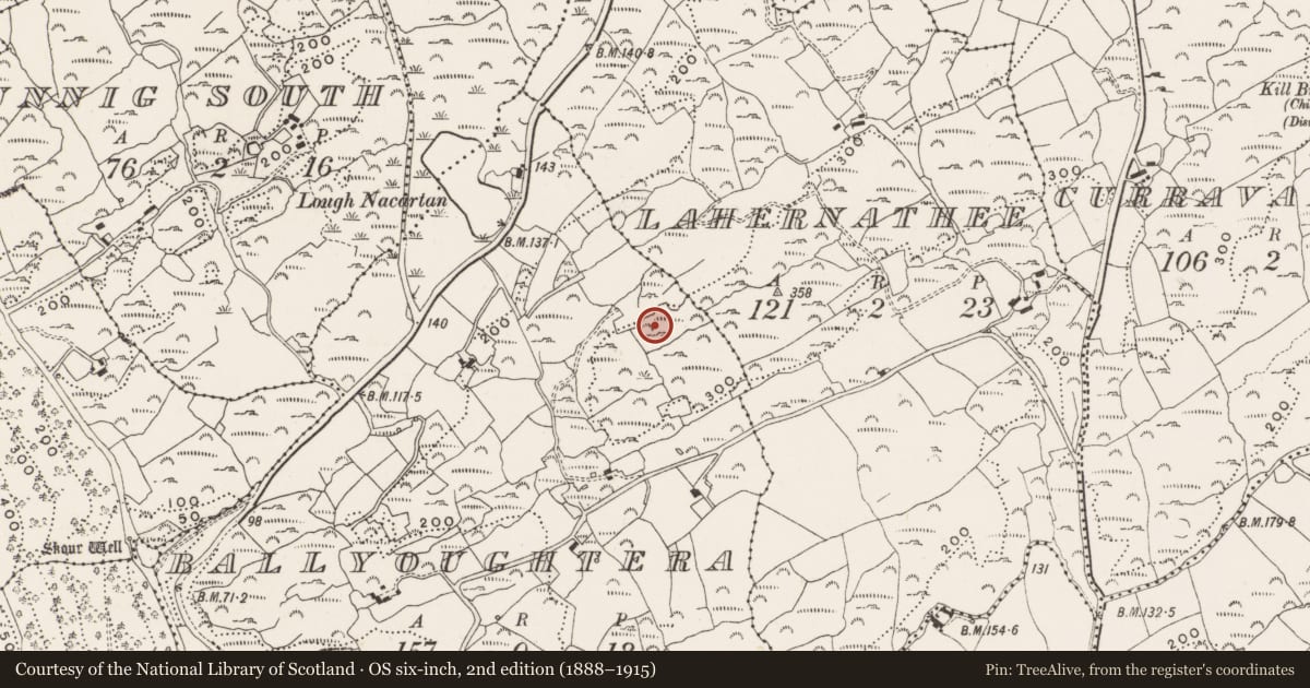 Ordnance Survey six-inch map, 2nd edition (1888–1915) covering the location of Bullaun stone, Ballyoughtera, County Cork, with a pin at the register's coordinates
