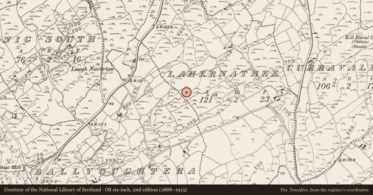 Ordnance Survey six-inch map, 2nd edition (1888–1915) covering the location of Enclosure, Lahernathee, County Cork, with a pin at the register's coordinates