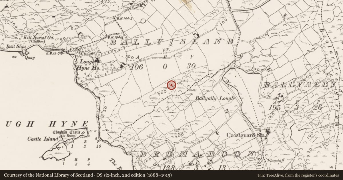 Ordnance Survey six-inch map, 2nd edition (1888–1915) covering the location of Standing stone, Ballyisland, County Cork, with a pin at the register's coordinates