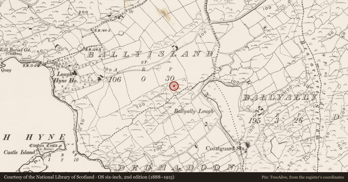 Ordnance Survey six-inch map, 2nd edition (1888–1915) covering the location of Cupmarked stone, Ballyisland, County Cork, with a pin at the register's coordinates