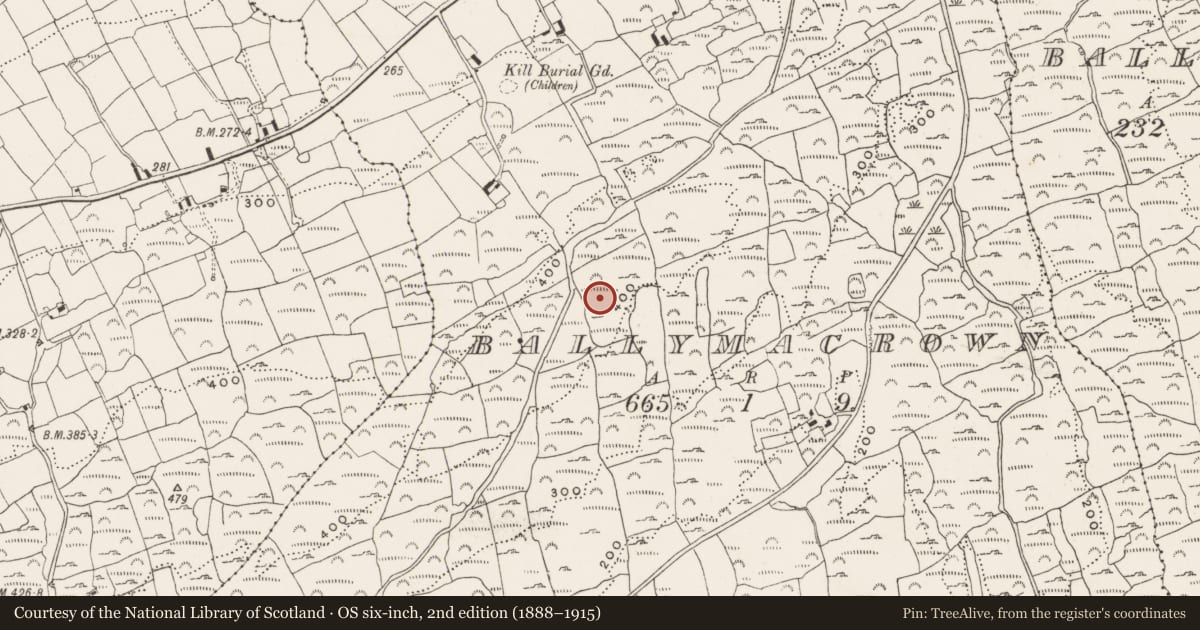 Ordnance Survey six-inch map, 2nd edition (1888–1915) covering the location of Standing stone, Ballymacrown, County Cork, with a pin at the register's coordinates