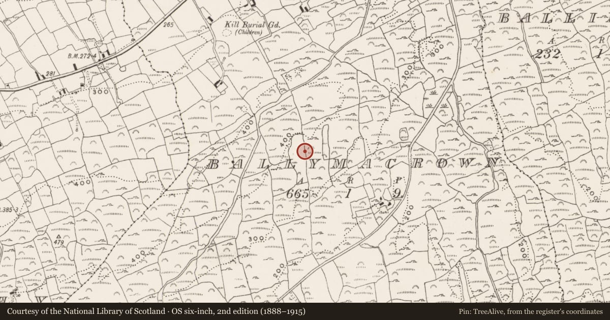 Ordnance Survey six-inch map, 2nd edition (1888–1915) covering the location of Hut site, Ballymacrown, County Cork, with a pin at the register's coordinates
