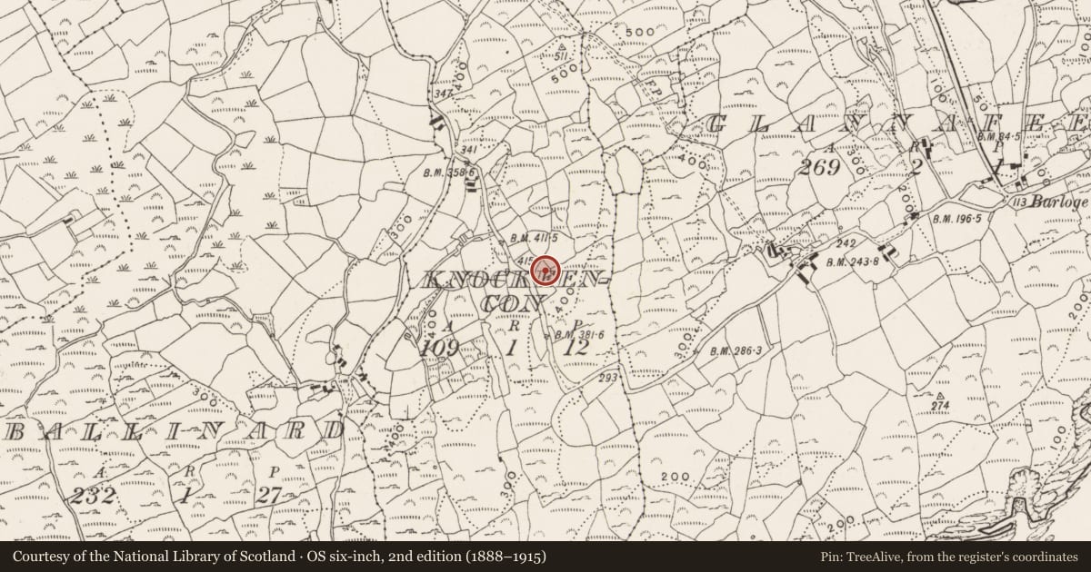 Ordnance Survey six-inch map, 2nd edition (1888–1915) covering the location of Cupmarked stone, Knockeencon, County Cork, with a pin at the register's coordinates