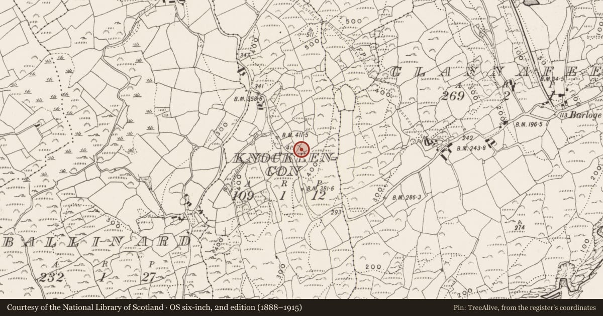 Ordnance Survey six-inch map, 2nd edition (1888–1915) covering the location of Cupmarked stone, Knockeencon, County Cork, with a pin at the register's coordinates