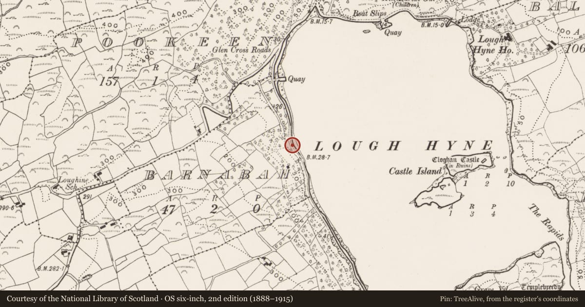 Ordnance Survey six-inch map, 2nd edition (1888–1915) covering the location of Cupmarked stone, Barnabah, County Cork, with a pin at the register's coordinates